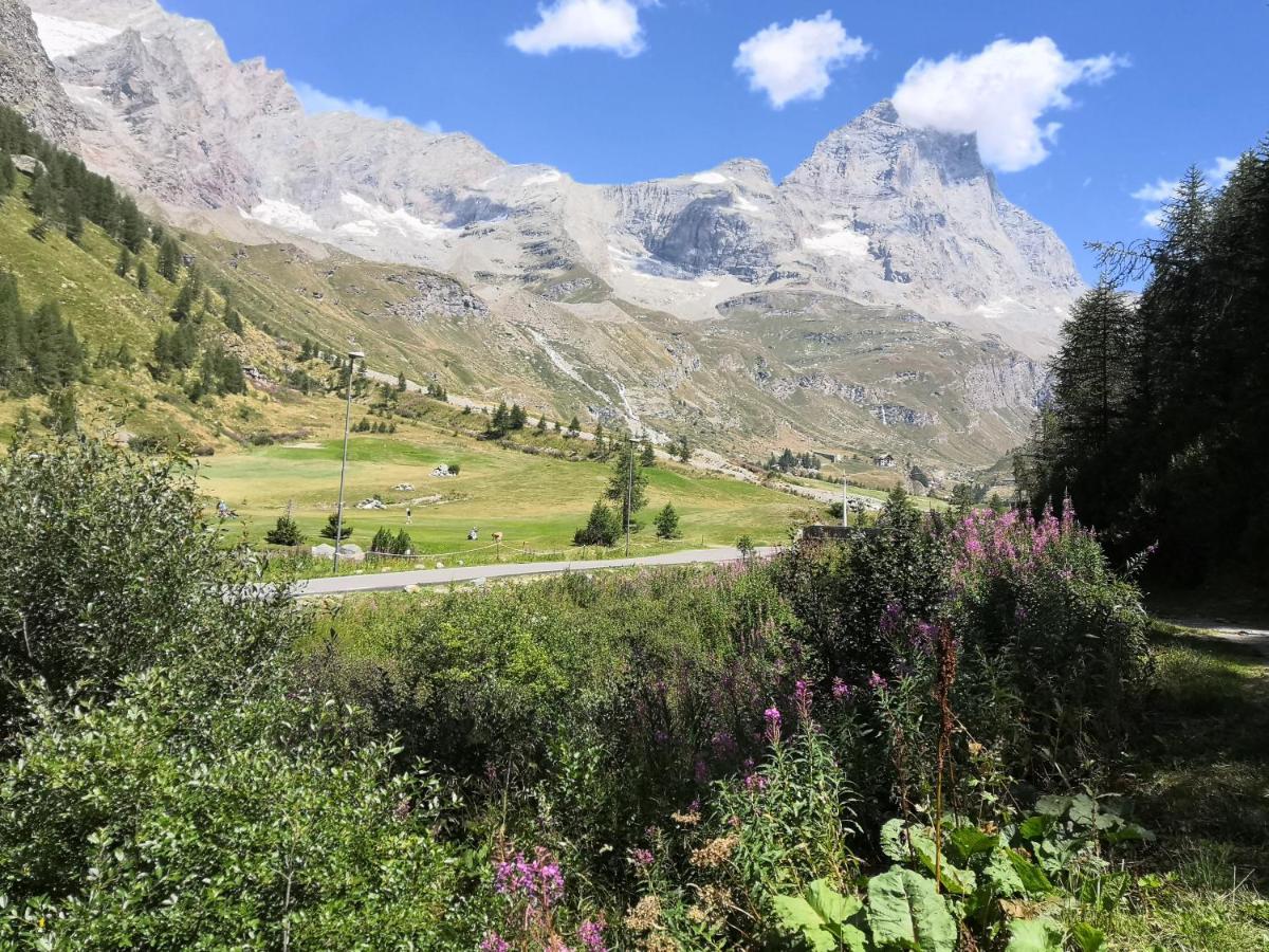 Le Petit Refuge Cervinia Apartment Бройл-Червиня Екстериор снимка