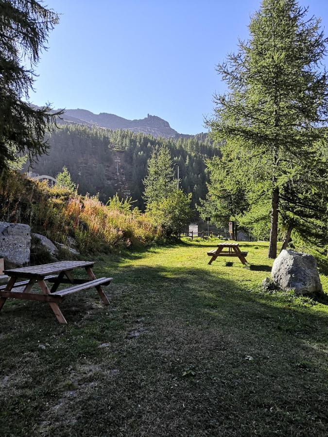 Le Petit Refuge Cervinia Apartment Бройл-Червиня Екстериор снимка