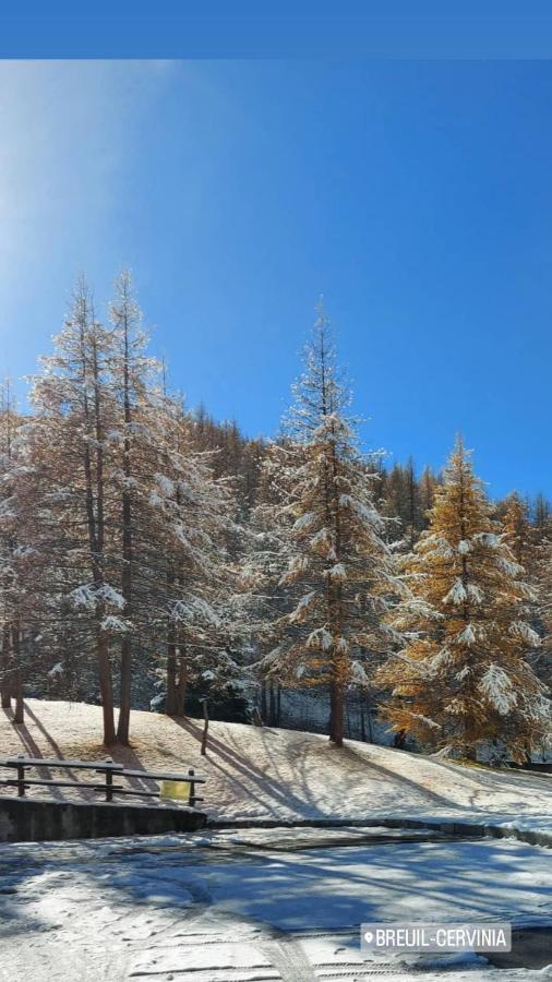 Le Petit Refuge Cervinia Apartment Бройл-Червиня Екстериор снимка