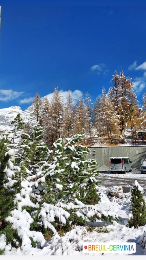 Le Petit Refuge Cervinia Apartment Бройл-Червиня Екстериор снимка